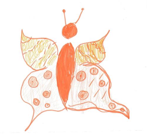 Orange story Orange story